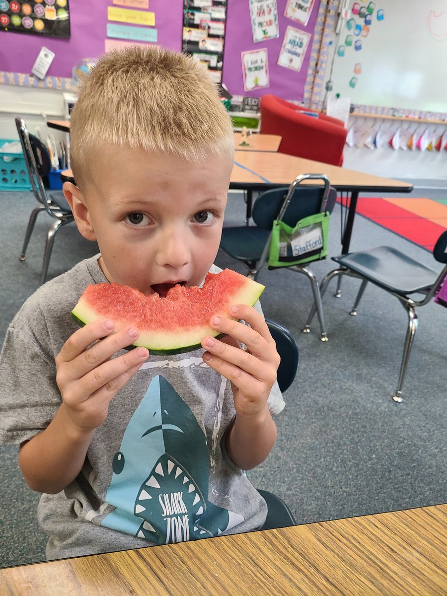 mrsjrocksk's tweet photo. Watermelon Day was a sweet success @SSSchoolWB!!! 🍉 https://t.co/gW9edckK4c