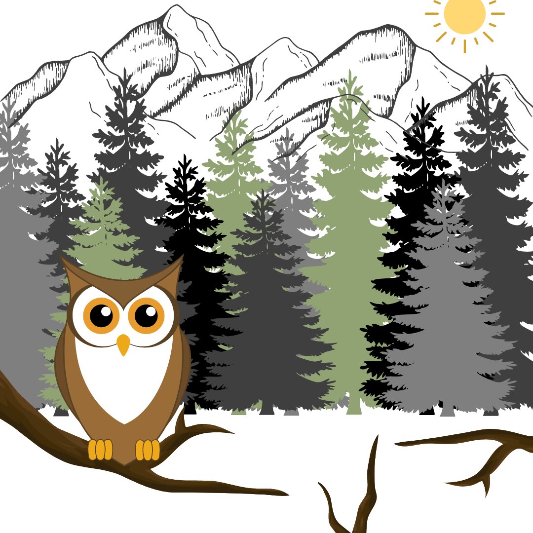 Did you know that owls don't have eyeballs?! Instead, their eyes are shaped like tubes and held in place by bones known as sclerotic rings. Because owls can't roll their eyes like humans they have to be able to move their heads all around. 

#factoid #kidsmusic #funfactfriday