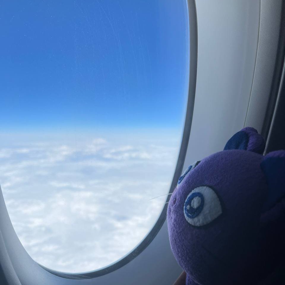 Belp Gaming (💙,🧡) tweet media