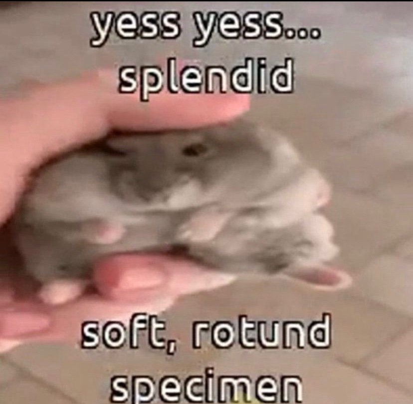 𝓜𝓪𝓼𝓽𝓮𝓻 𝓒𝓱𝓾𝓷 𝓛𝓲 (@birb_mun) on Twitter photo 