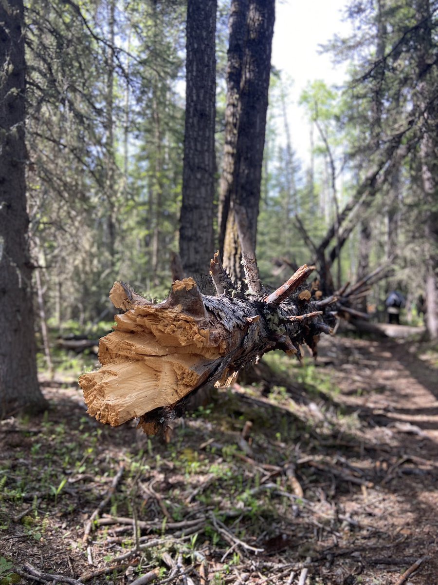 jill winters tweet media