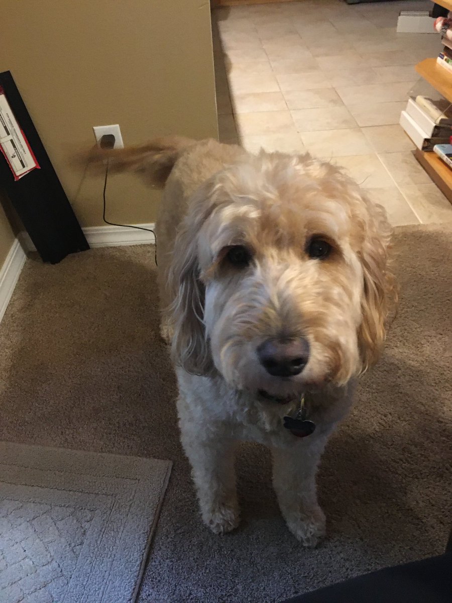 LALHunsicker's tweet photo. #oafamily2022 Leo and I are loving the event! https://t.co/7HszPYFNnH