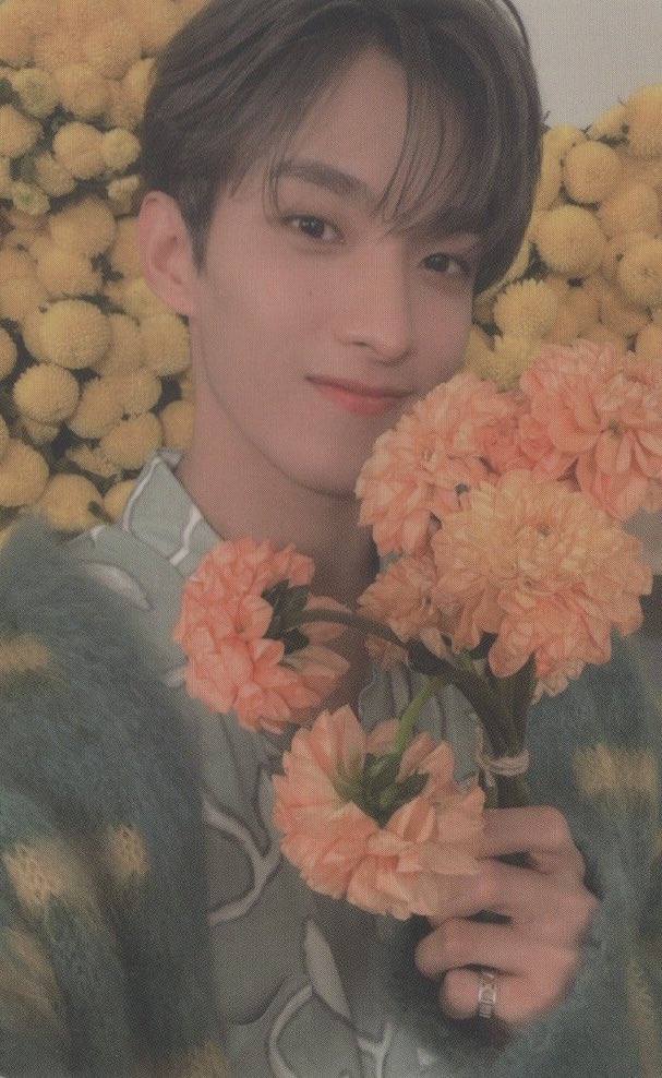 SEVENTEENscan's tweet photo. [SCAN] DK Your Choice PCS
#DK #SEVENTEEN #CARATS https://t.co/klUbRhgbRI
