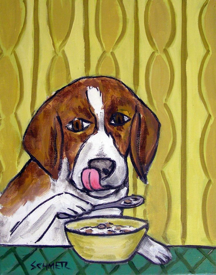 me cagué de risa acordándome del perro que come cereal con cuchara.