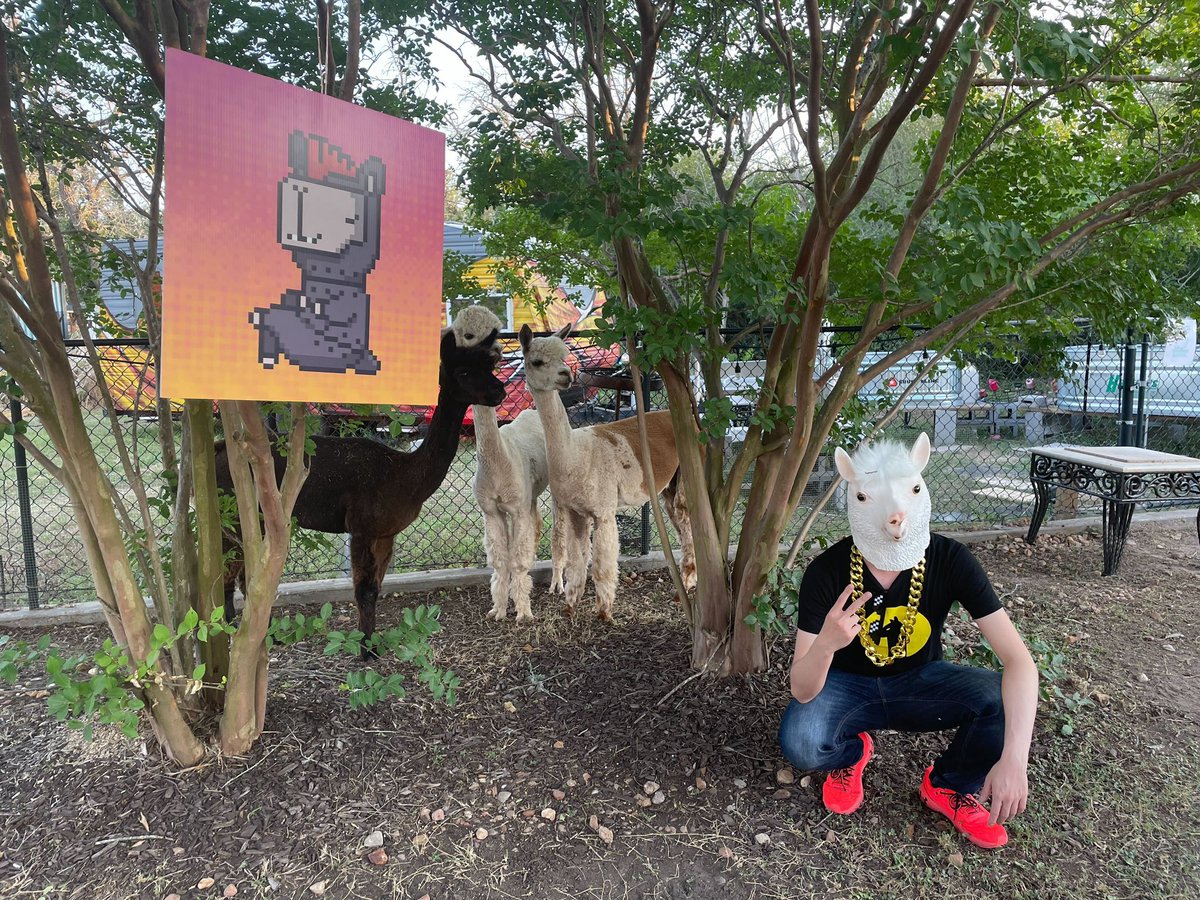 THANK YOU to everyone that came out to our Real Life Alpaca Party yesterday 🫡🦙

Special shoutout to <a href="/KCCOfficialTW/">KuCoin Community Chain (KCC) Official</a> <a href="/KuCoinVentures/">KuCoin Ventures</a> <a href="/ALPACADABRAZ/">ALPACADABRAZ</a> and <a href="/ConsciousCups/">Conscious Cups</a> ❤️

#Consensus2022