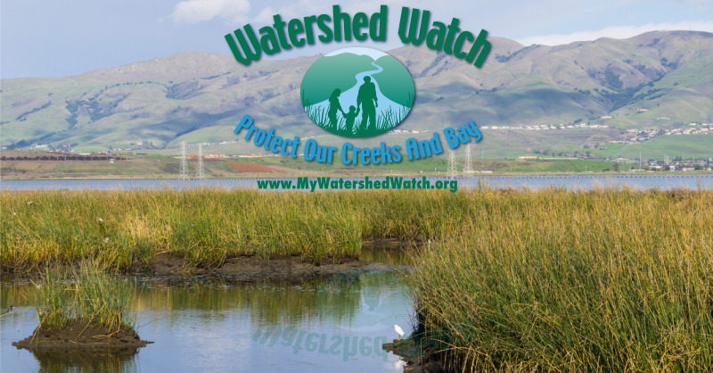 watershed_watch's tweet photo. Protecting our creeks and the San Francisco Bay is an every day activity. We help make it easy to keep your family, pets and neighborhood safe from toxic pollutants. Follow us for news, and find free resources and events at https://t.co/9Vrpt6M4ZX.