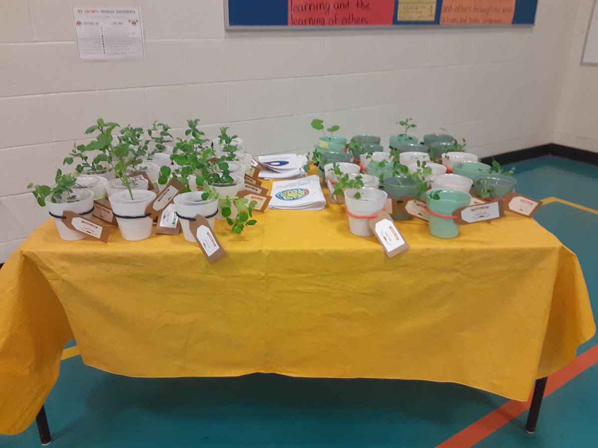 mrsbowesteaches's tweet photo. Sending a big shout out to all our grown ups who came to celebrate Donuts with Grown Ups. We can't thank you enough for helping us grow. #celebration #thankful #donuts #lemonade #songsandpoems #thanksforpoppingby https://t.co/EuYJA2ObfY
