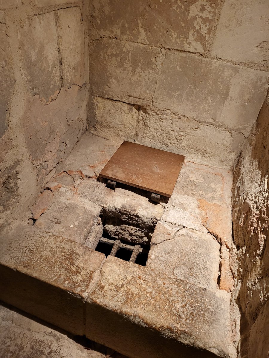 Ezada Sinn (SFW) on Twitter "I am always interested of how toilets