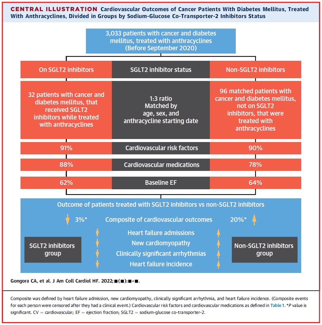 jovens_conselho's tweet photo. SGLT-2 inhibitors as potential protectors against anthracycline-induced cardiotoxicity? #CJCselected this retrospective cohort study, showing lower cardiac events among patients with cancer and diabetes treated with iSGLT-2. https://t.co/Nd6NpMTZpN #CJCardio #CVD https://t.co/IH1gX2BDcS