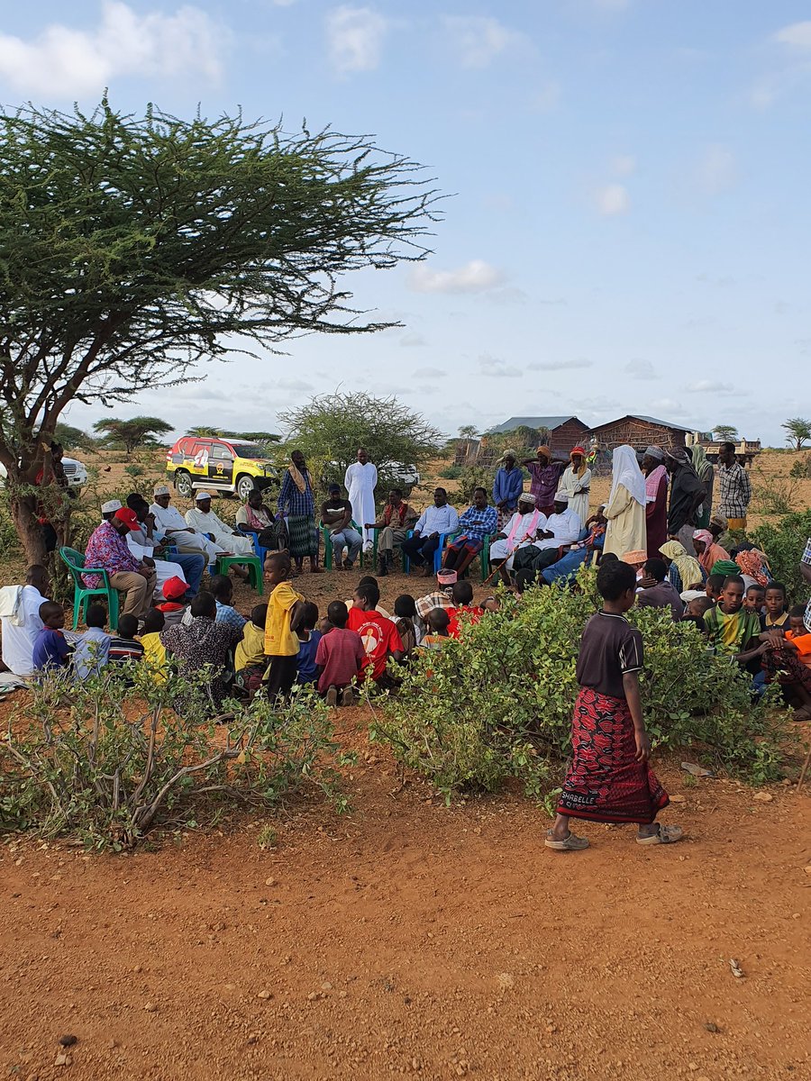 Taufiq - Rhamu.
Acacia tree democracy at work.