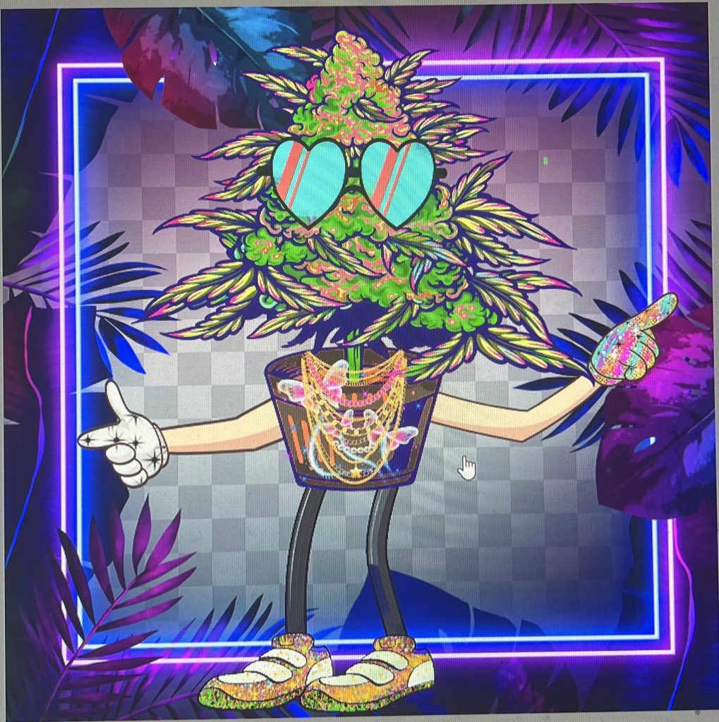 Be one of the first one ☝️ to join are new #NFTCommunity  

And get your free Weediez NFT 

x.com/weedieznft/sta…