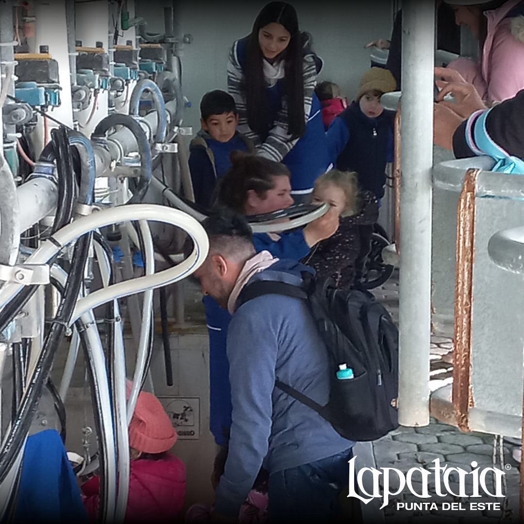 LAPATAIAUY's tweet photo. 😁Agradecemos a Colegio punta del Este por su hermosa visita!

☺️Esperamos que hayan disfrutado de esta experiencia especial junto a la naturaleza!

😁Los esperamos pronto para volver a divertirnos y deleitarnos juntos!

#Lapataia #Lapataiapuntadeleste #visita #escuelas #paseo https://t.co/ayt3AVWZjj