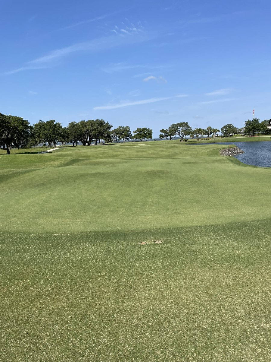 EthanJones404's tweet photo. 2022 Aerification has come to an end on the Plantation side at Sea Island. Course is healing in nicely and we are very happy with the end product. Couldn’t be more proud of our crew and the work they put in to knock everything out. Oh and a picture of Scout with the cores https://t.co/UheEMnn0d7