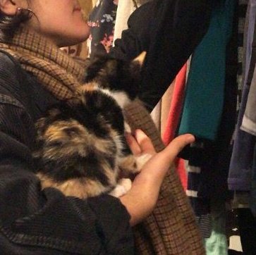 fuimos al second hand de animales sin hogar y salí  r o t a, vayan, compren, revuelvan y por sobre todas las cosas, no compren animales &lt;/3
