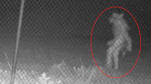realUAO's tweet photo. AITA for getting caught on camera for the first time in 6 centuries? My girlfriend (612F) is pissed but I (613M) really just wanted some @tacobell and I heard the Mexican Pizza was back. @AITA_online https://t.co/mlYnaoHH0k