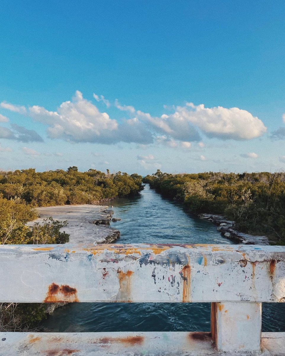Route1V's tweet photo. The jumping bridge in sugarloaf key is the ultimate adrenaline junkie spot.

https://t.co/fPXK50Gad5

📸 Negrit

#usroute1 #route1views #routeone #route1love #rt1 #roadtrip #travel #explore #trip #jumpingbridge #keywest #bridgejumping https://t.co/IyOY6mWZjD