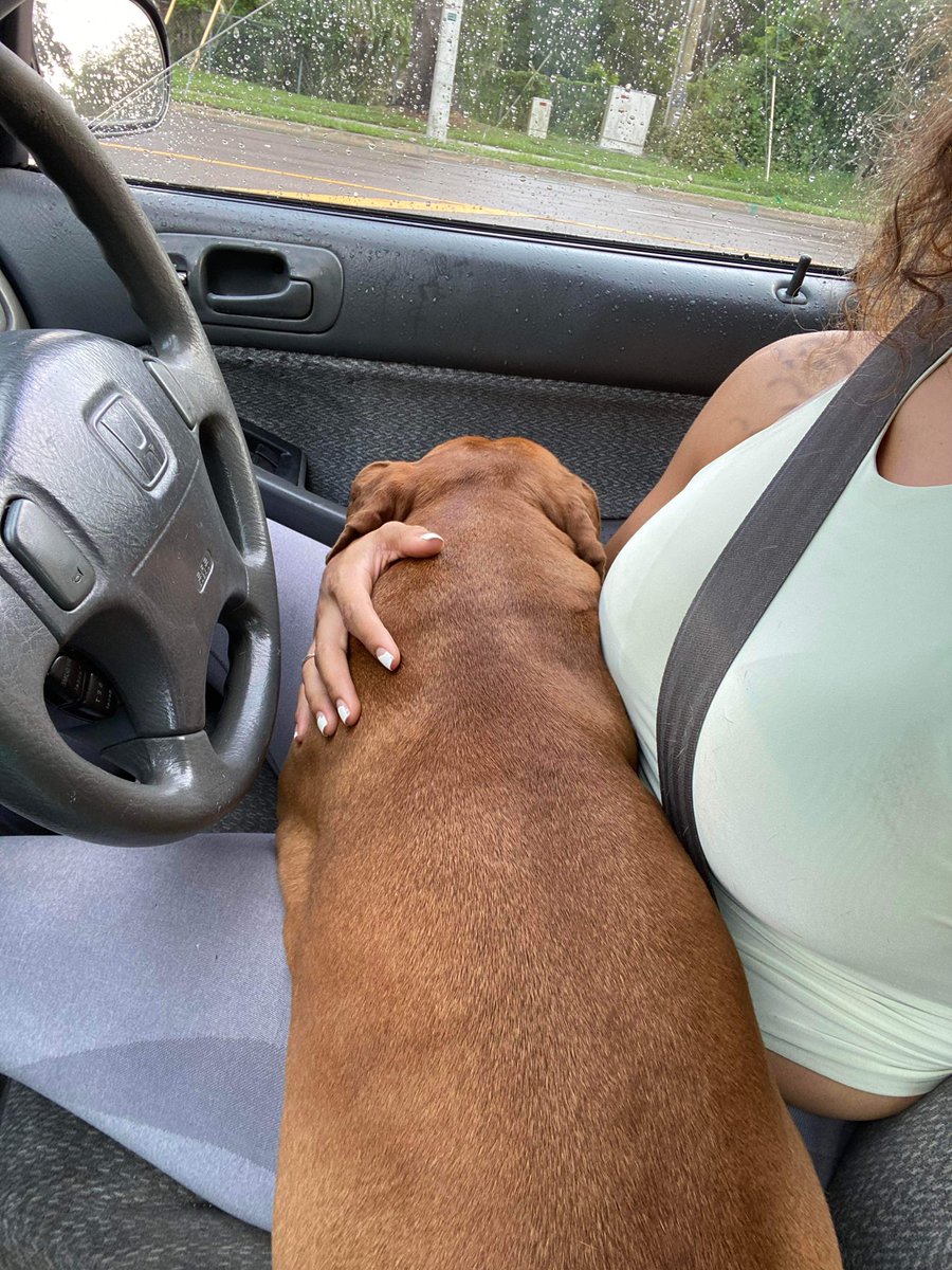 we_do_amzn's tweet photo. @defi_frens so my baby Milo who I posted the other day had a herniated disk in his back and was in so much pain. My heart was broken!!! But he's all better now and resting #DeFiPets https://t.co/OB5ESgaFNU