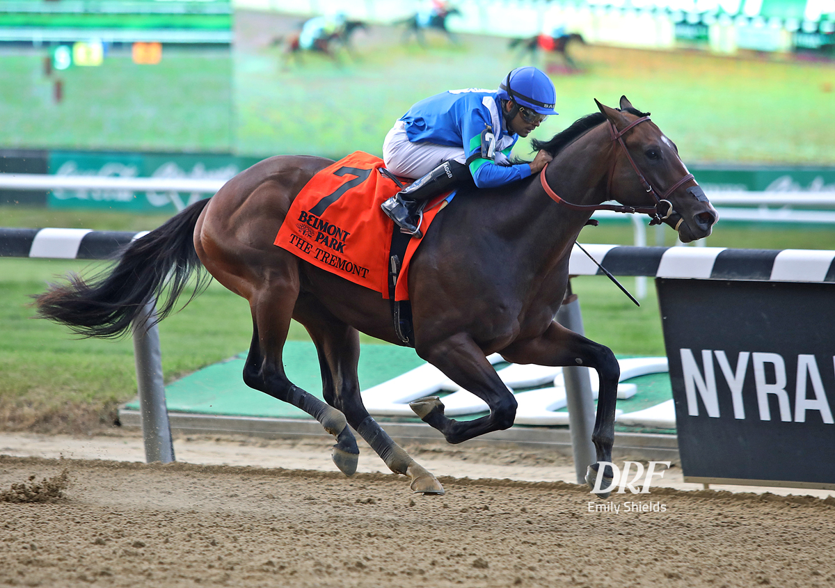 Daily Racing Form on Twitter "Two of a Kind, trained by BLynchRacing