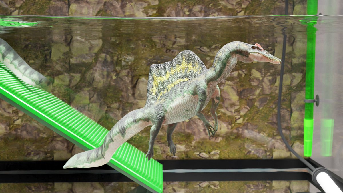 恐竜 スピノサウルス飼い始めました 基本的にミドリガメと同じ飼い方でいけそうw 超特定外来生物で草 プールより大きくなるぞ Togetter