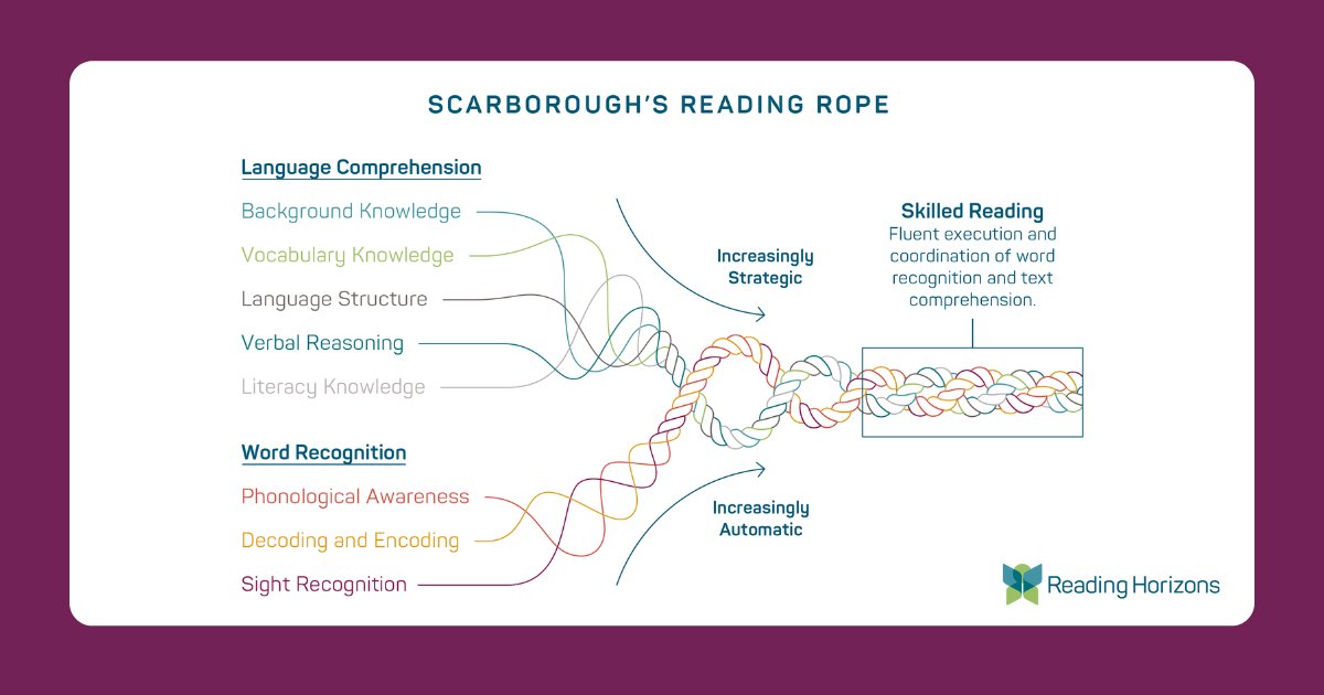 ReadingHorizons's tweet photo. Skilled reading is a byproduct of #wordrecognition and #languagecomprehension skills becoming increasingly automatic and strategic over time. Foundational #decodingskills need to be automatized to free up cognitive resources for the higher-level #readingskills. https://t.co/ROfmS38uaU