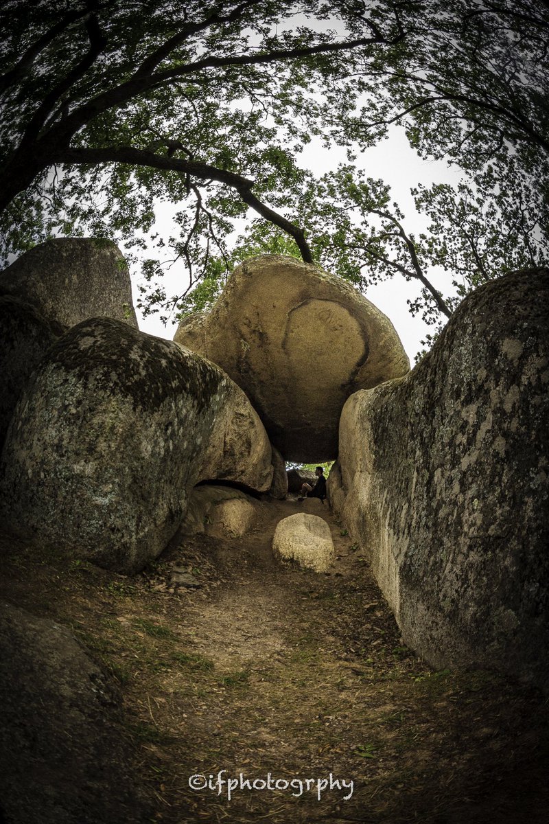 iphotogrphyIP's tweet photo. Един от най-големите долмени в Европа. Бегликташ. #bulgaria 🇧🇬 #dolmen #megaliths #Unknown #history #prehistory #forgotten #NaturePhotography #phtography #WondersOfMeditation #PositiveVibes #GreenDay https://t.co/8wGytMZNfd