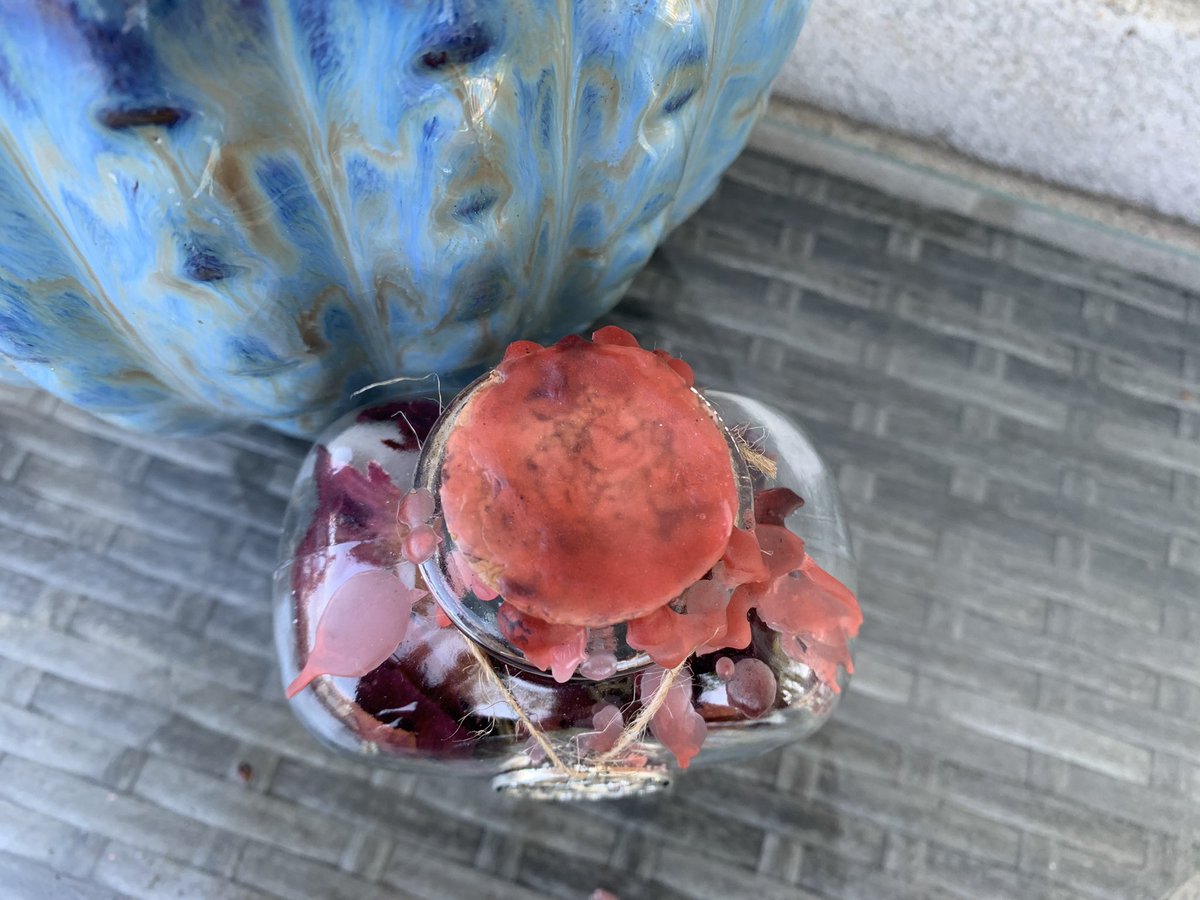 ❤️‍🔥 Wow check out these self-love spell jars ❤️‍🔥

🌹 Who needs a boost of confidence?

🌹 Who wants to add some spice into your life? 

🌹 Who needs some extra courage or strength?

These are intended to bring such intentions to you! 

Click the link 👇 

Kay.witchery.square.site