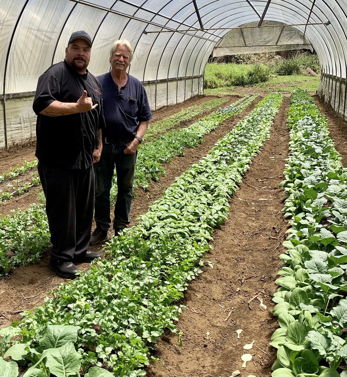 Volcano_House's tweet photo. Volcano House supports local! This week we wanted to highlight McCall farms, a local produce company located right in Volcano town. Starting in 1982, Jeff and Claudia (owners of McCall farms) originally grew cut flowers in Volcano and Kau. They expanded to produce in 2014... https://t.co/MQ8bbDIKzr