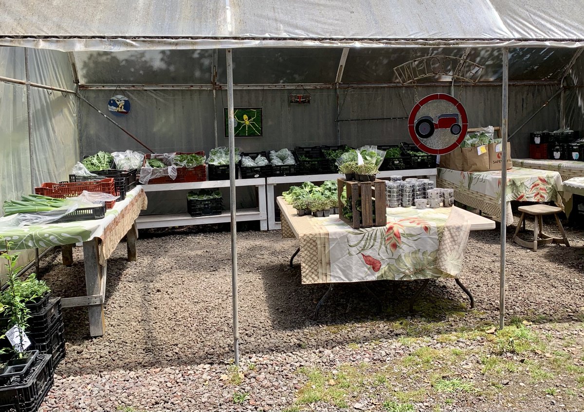 Volcano_House's tweet photo. Volcano House supports local! This week we wanted to highlight McCall farms, a local produce company located right in Volcano town. Starting in 1982, Jeff and Claudia (owners of McCall farms) originally grew cut flowers in Volcano and Kau. They expanded to produce in 2014... https://t.co/MQ8bbDIKzr