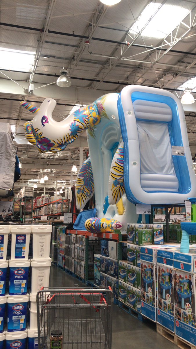 theaustinwatts's tweet photo. @AllieHemans I found something for you and Shoes at Costco. https://t.co/O2cLKjaMVt