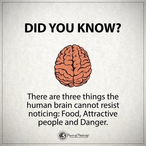 Mahagony's tweet image. Our brains are like computers, whatever you program it with determines how you operate or show up in life.
#thinkaboutit #reprogram #focus #positive #elevate