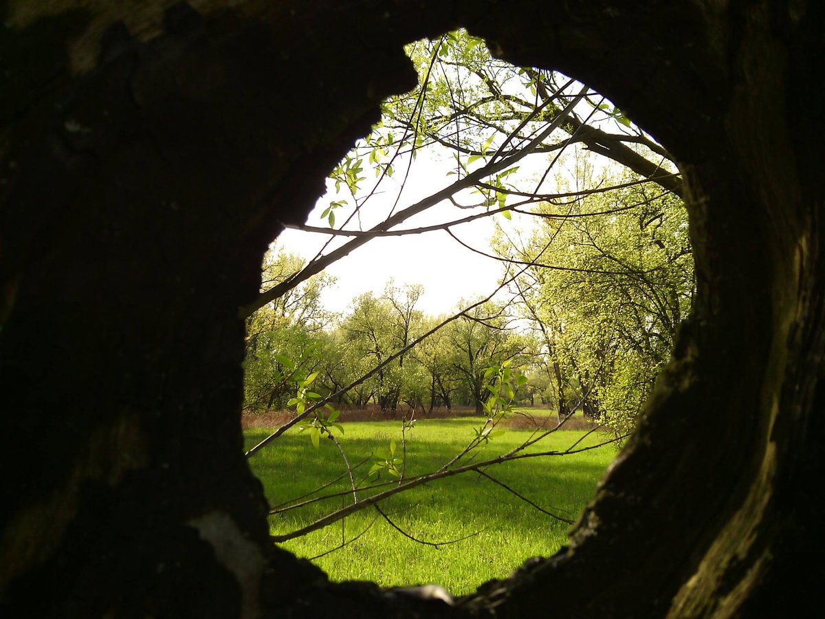 MarcinZenko's tweet image. Ukryte Oko 😇😇😇😇