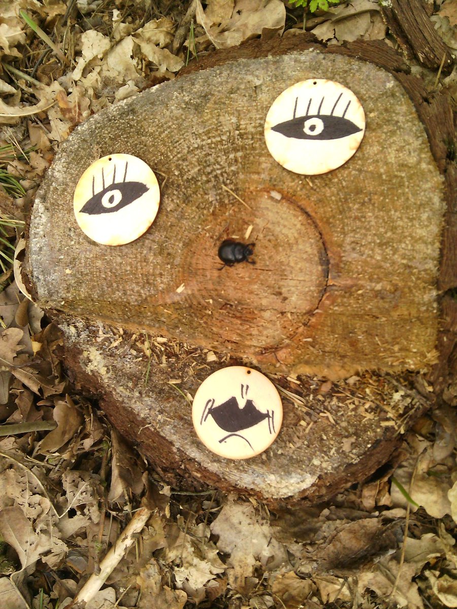 MarcinZenko's tweet image. Dziwak leśny 😇😇😇😇