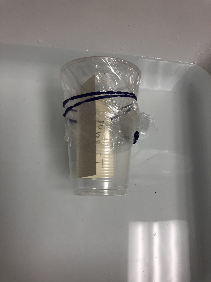 draperconnects's tweet photo. @DDSB_STEM centres are a bit hit this week! Today we sent messages in a bottle to help the sailors get rescued @SchoolAttersley https://t.co/nm0uBiEbfY