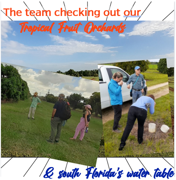 UFTropical's tweet photo. #TBT A group of #ExtensionAgents from Florida's west coast came to TREC to learn more about the #research conducted at our Center and how the crops of south Florida differ from those of central west Florida. (1/3) https://t.co/eACN7mVfPt