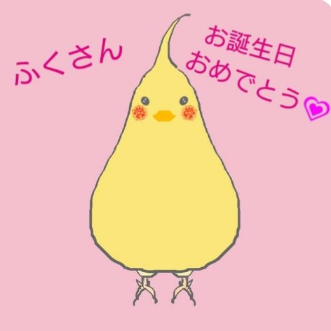 オカメインコのtwitterイラスト検索結果