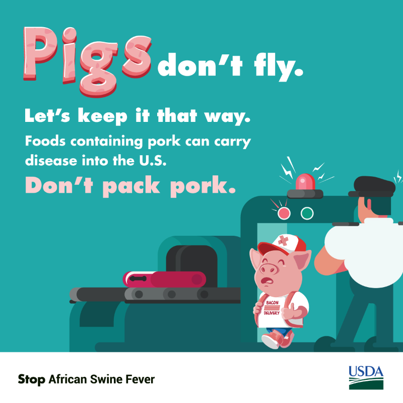 USDA_APHIS's tweet photo. Do your part to stop the spread of African Swine Fever. Don’t pack pork when you travel to the U.S. #StopASF