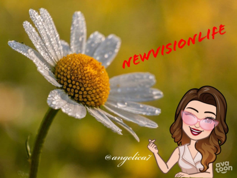 blurthispano's tweet photo. Newvisionlife te invita a escribir sobre la resiliencia en #Blurt En el escrito esta toda la explicación y reglas https://t.co/EPdvy9g4Y9 #blurthispano #blurtsocial #blockchain https://t.co/UTeCboRa6x