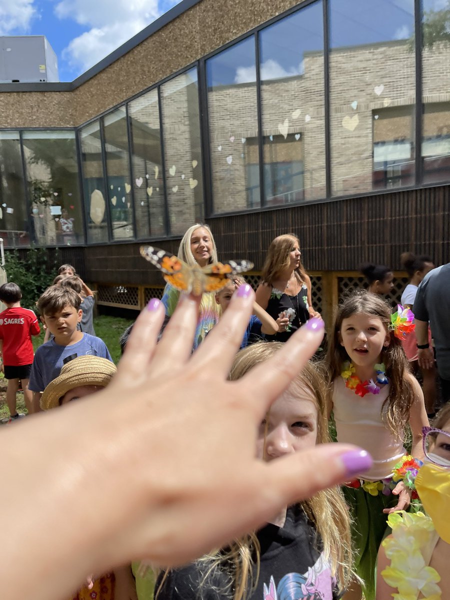 Set our butterflies free 🦋