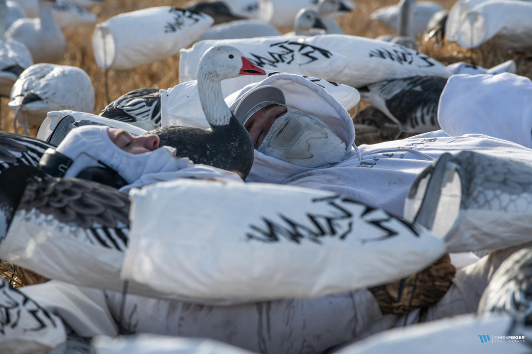 The between volley siesta... beautiful! It's not always about pulling the trigger;)

@kenetrekboots <a href="/mathewsinc/">paul mathews</a> <a href="/vortexoptics/">Vortex Optics</a> <a href="/sitkagear/">Sitka Gear</a> <a href="/ducksunlimited/">Ducks Unlimited</a> @wildsheepfoundation @badlandsaircraft  #archery #hunting #bowhunting #getoutthere #explore #yourvortex #builtforthewild #films
