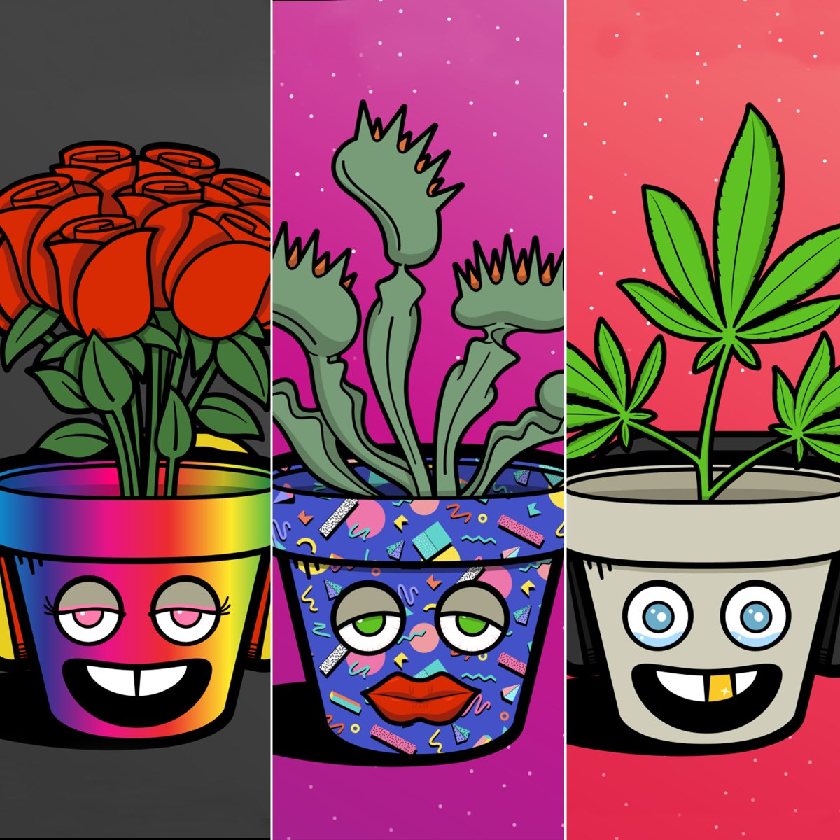 Which one is your favorite? 1-2-3??

🌿🌿

#nft #greenchipnft #nftcommunity #plantidentification #plantbased #planttwitter #nftmintalert #nftmint