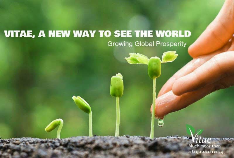Lannguyenvitae's tweet photo. Grateful to the universe, I pray to God to ask God to revive Vitae, please use your right hand to bring the Vitae website back to global online operation to help 230,000 members of Vitae worldwide have a happy and prosperous life. prosperity and peace I thank heaven and 🌏 https://t.co/5pzwn2ZMRF