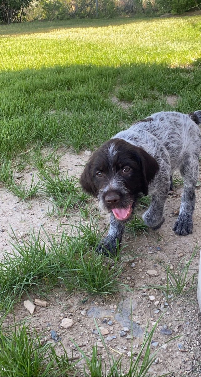 Everyone say hi to Natty! She is home and healthy