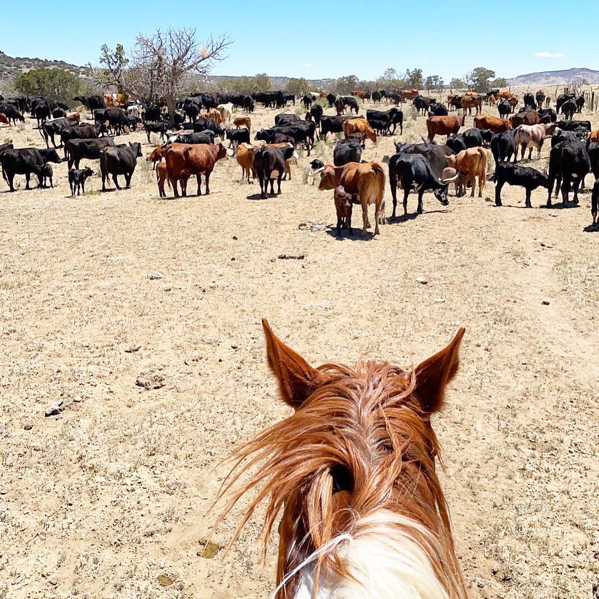 kennnawhite's tweet image. 6 / 3 / 2022⚡️ #springworks