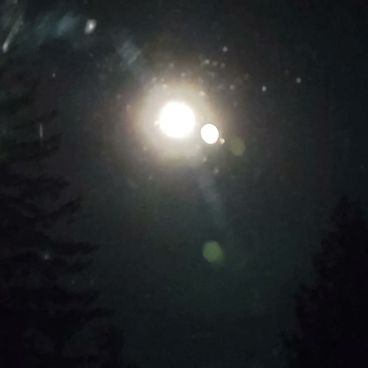 HarrisBraidy's tweet image. Pictures I took a while ago