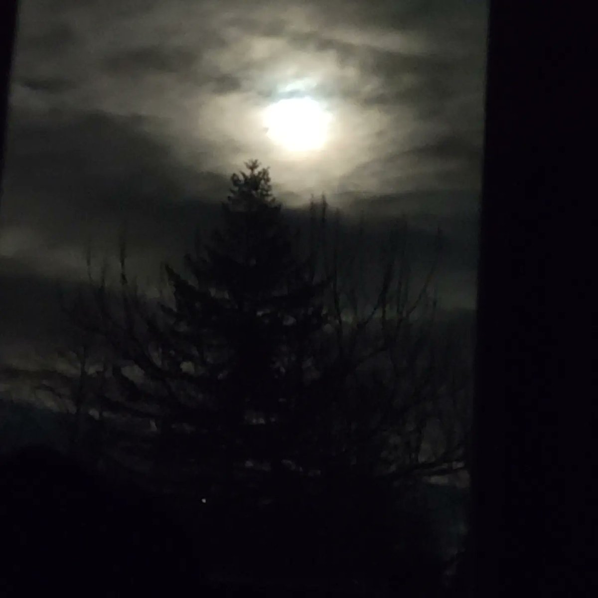 HarrisBraidy's tweet image. Pictures I took a while ago