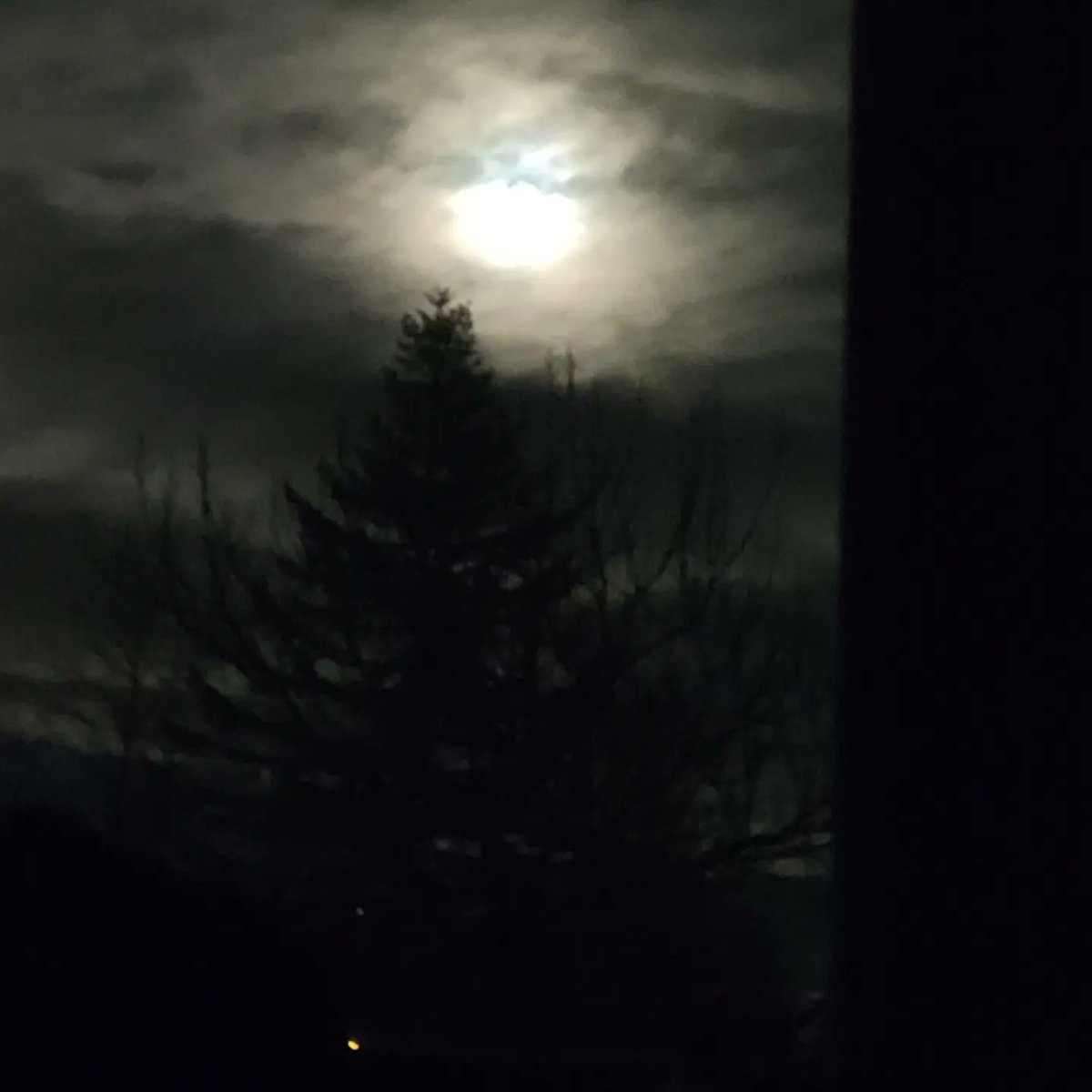 HarrisBraidy's tweet image. Pictures I took a while ago