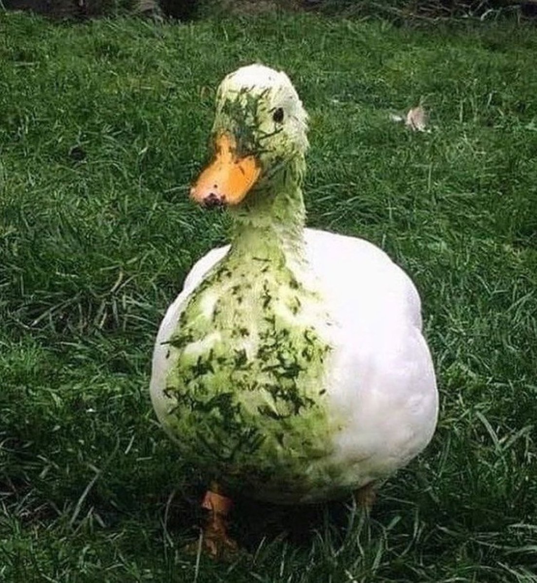 kapebeansies's tweet image. 