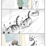 クローゼットを開くと発生することがあるイベント･･･!可愛くて癒される猫漫画!