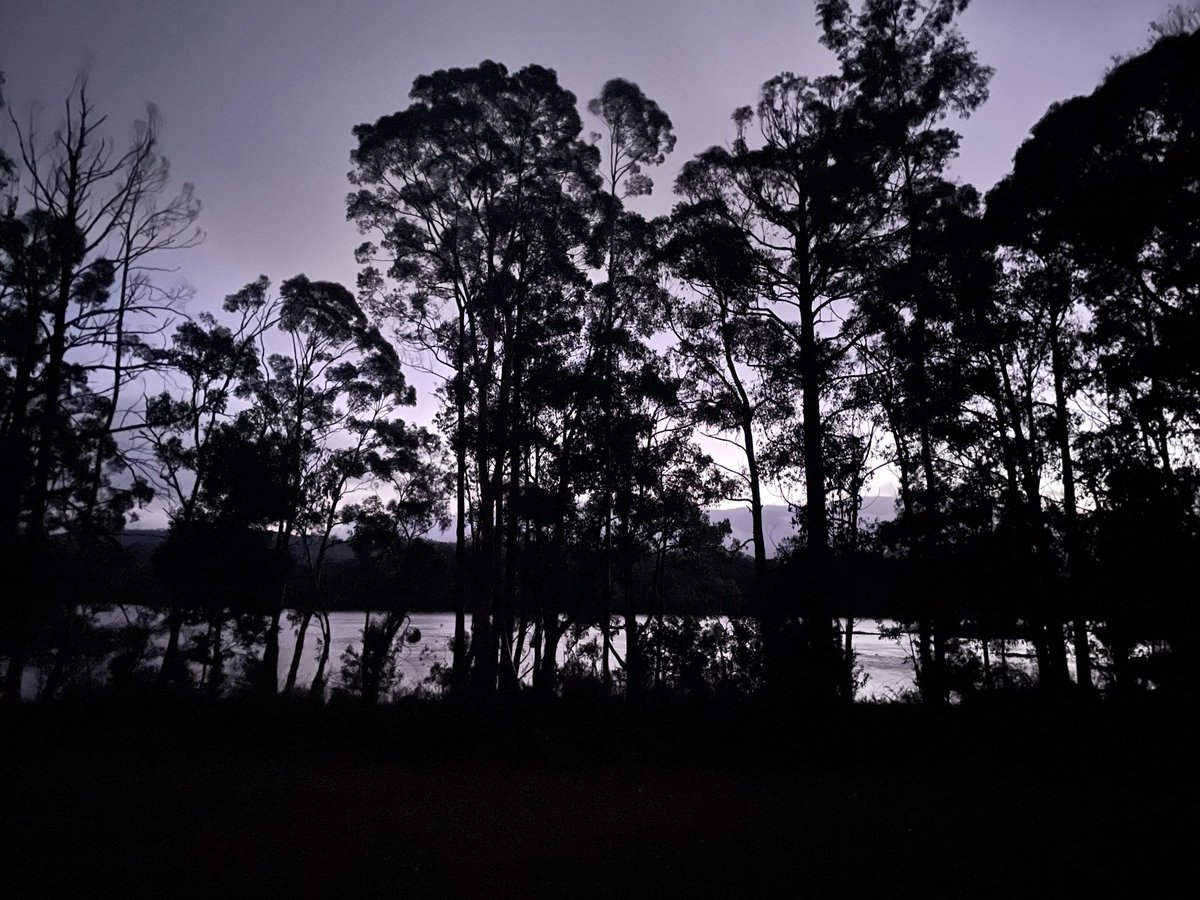 mpred_lab's tweet photo. Exploring our values, mission, purpose(s), working & comms styles, hurdles & aspirations in the wilderness with great coffee (thanks Ash!) & good food! Good times! Thanks #RiverRunLodge
#kindnessinscience https://t.co/0ZCKOHP6uN