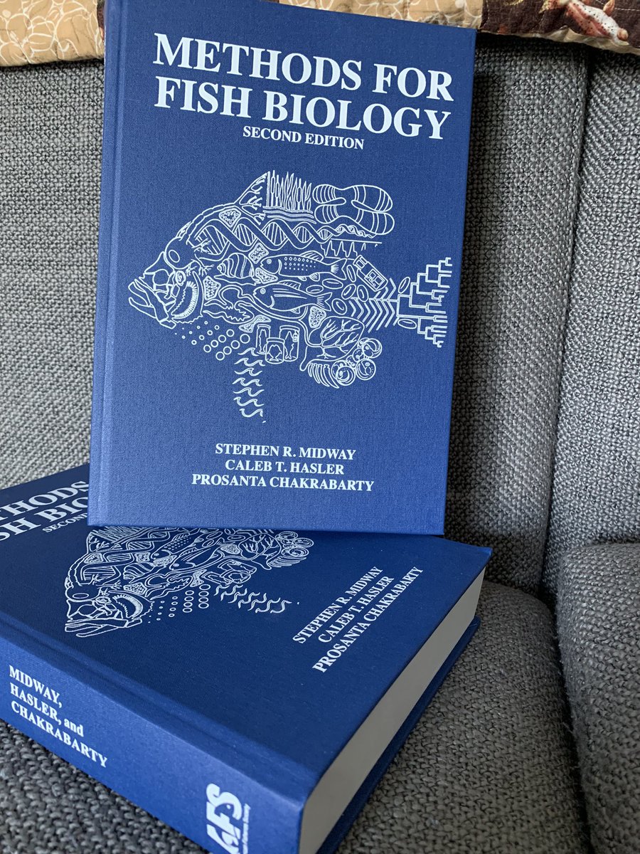 It’s finally here!